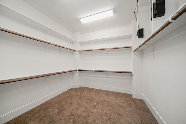 walk in closet featuring carpet floors