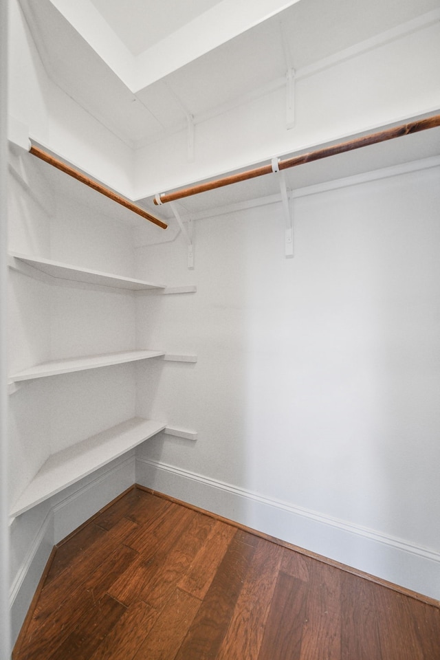 walk in closet with dark wood-type flooring