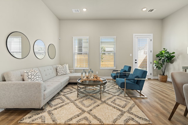 living room with hardwood / wood-style floors