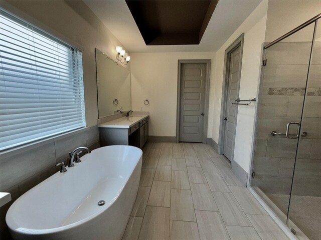 full bathroom featuring a wealth of natural light, vanity, a shower stall, and a freestanding bath