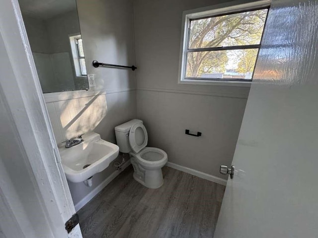 bathroom featuring baseboards, a sink, toilet, and wood finished floors