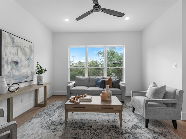 living room with ceiling fan and wood-type flooring