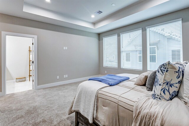 bedroom featuring carpet floors, a raised ceiling, and multiple windows