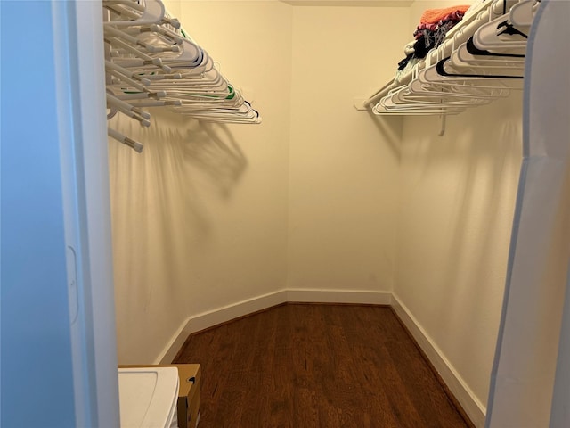 spacious closet featuring dark wood-type flooring