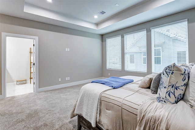 bedroom featuring carpet flooring, a raised ceiling, and multiple windows