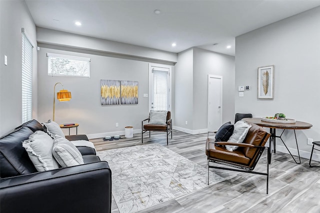 living room featuring hardwood / wood-style flooring