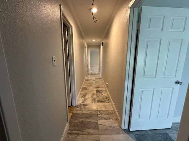 corridor featuring crown molding