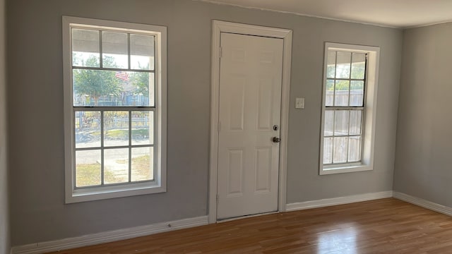 doorway with a wealth of natural light and wood-type flooring