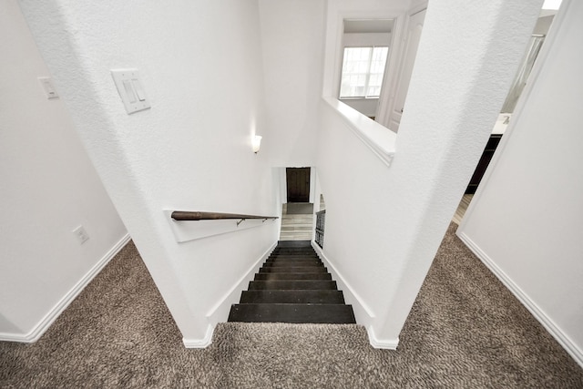 staircase with carpet