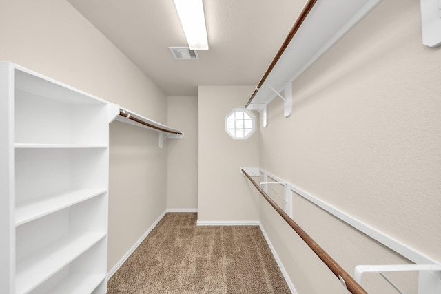 spacious closet featuring carpet flooring