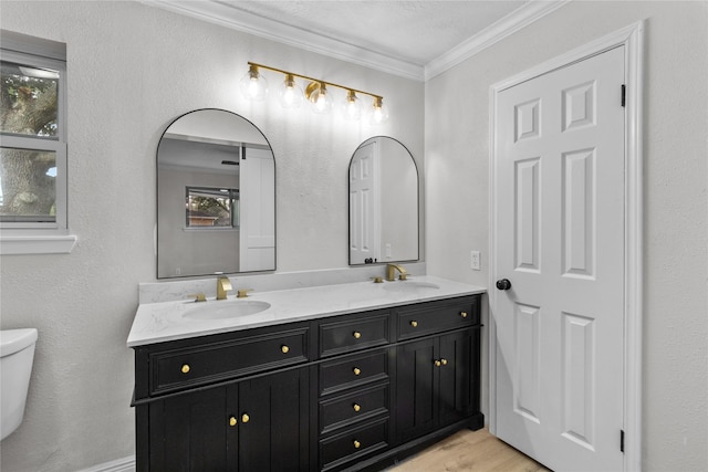 bathroom with toilet, a healthy amount of sunlight, vanity, and crown molding