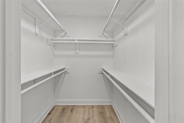 walk in closet featuring light hardwood / wood-style floors