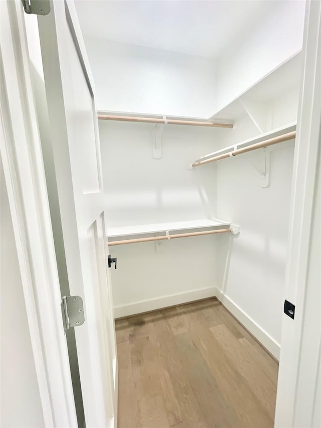 spacious closet featuring light hardwood / wood-style flooring