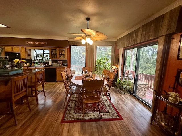 dining area with ceiling fan, a healthy amount of sunlight, and crown molding