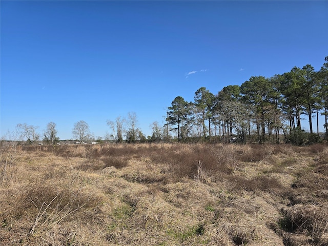 view of local wilderness featuring a rural view