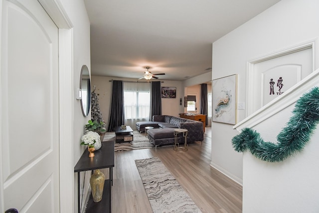 living room featuring light hardwood / wood-style floors and ceiling fan