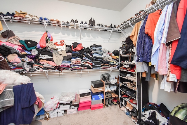 walk in closet with carpet floors