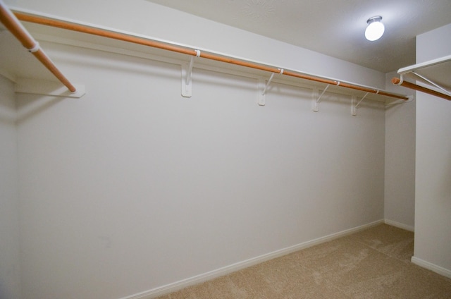 walk in closet with light colored carpet