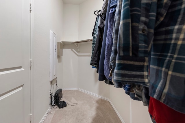 spacious closet with light colored carpet