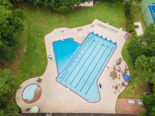 view of pool with a patio area and a lawn