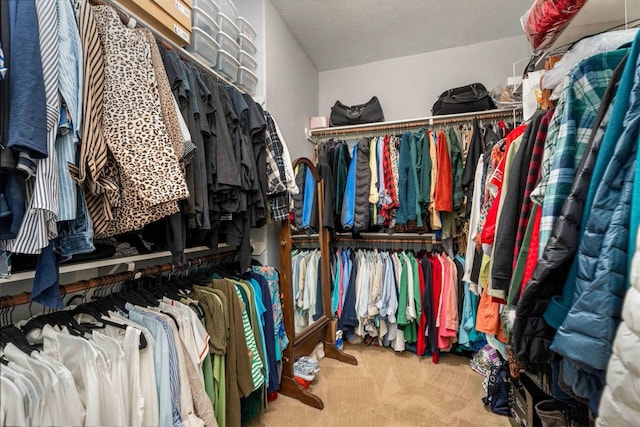 spacious closet with carpet