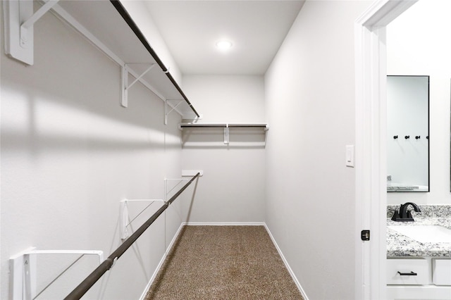 walk in closet with carpet and sink