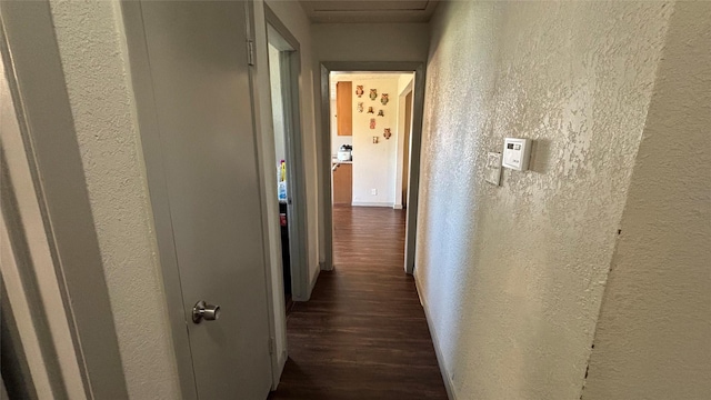 corridor featuring dark wood-type flooring