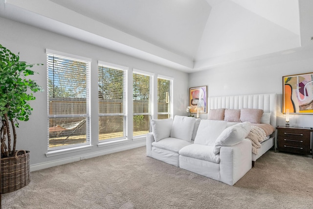 bedroom featuring lofted ceiling, a raised ceiling, and light carpet