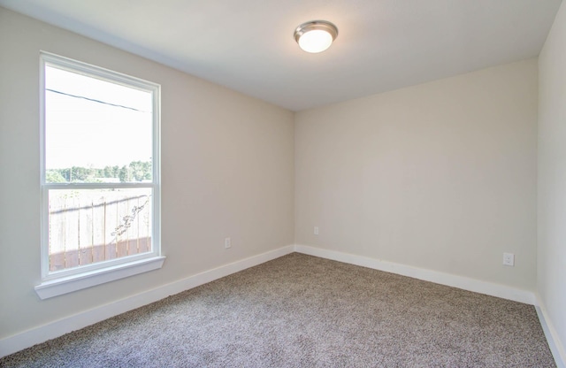 carpeted empty room featuring a wealth of natural light