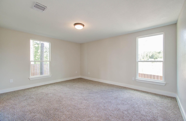 empty room featuring carpet floors and a wealth of natural light