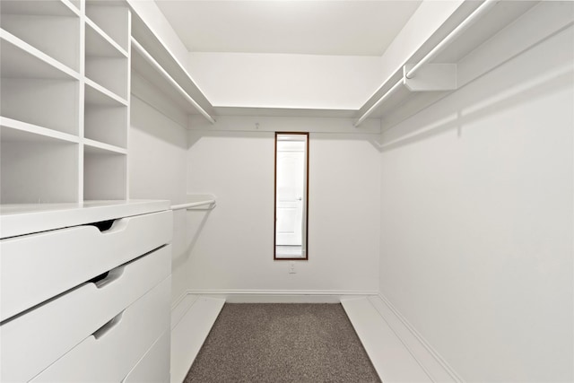 walk in closet featuring carpet