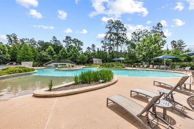 view of swimming pool with a patio area