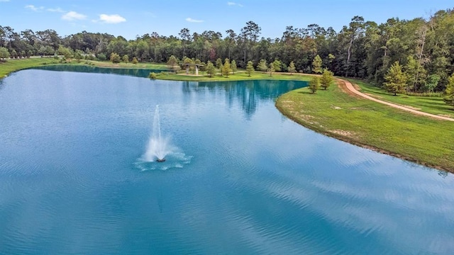 view of water feature