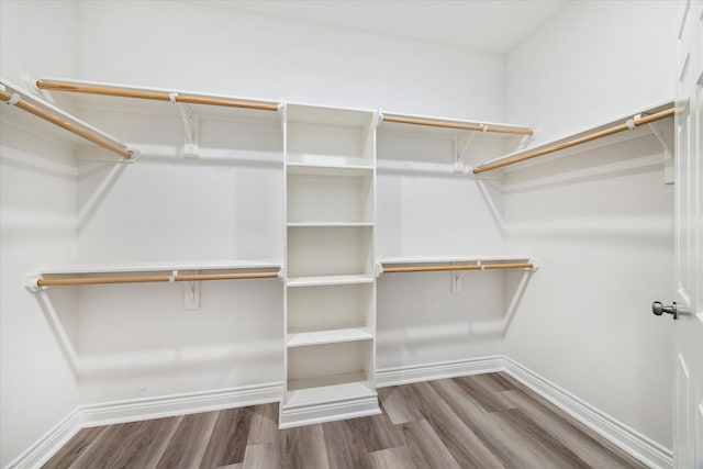 spacious closet with wood-type flooring