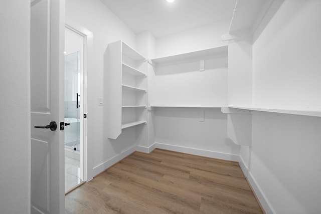 spacious closet with hardwood / wood-style flooring