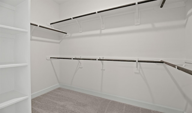 spacious closet with carpet flooring