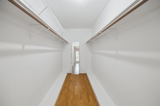 walk in closet with wood-type flooring