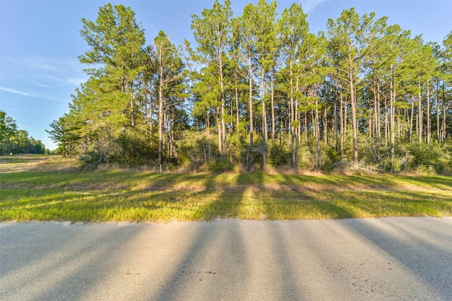 15774 Wooded Trail Way, Willis TX, 77378 land for sale