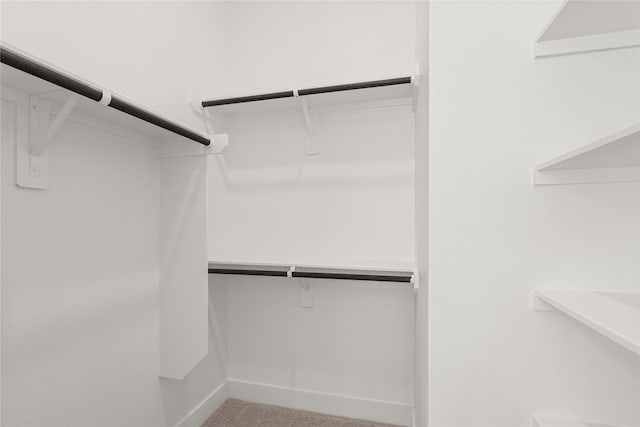 spacious closet featuring carpet floors