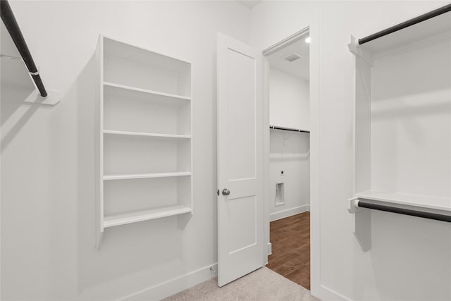 spacious closet with light colored carpet