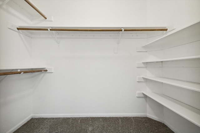 walk in closet with dark colored carpet