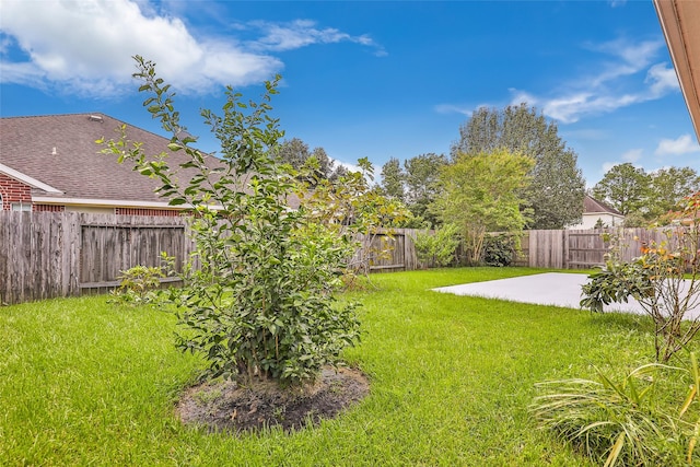 view of yard featuring a patio