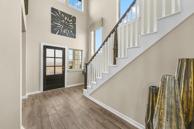 entryway featuring a towering ceiling and plenty of natural light