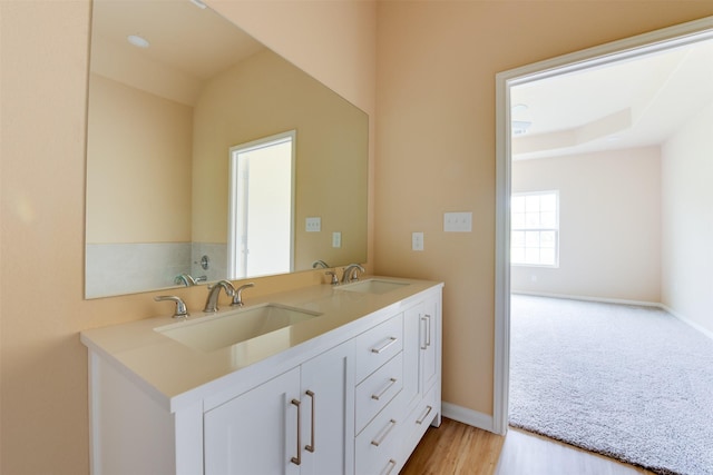 bathroom with hardwood / wood-style floors and vanity