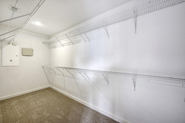 1117 Arthur St, Houston, TX 77019 - photo 17