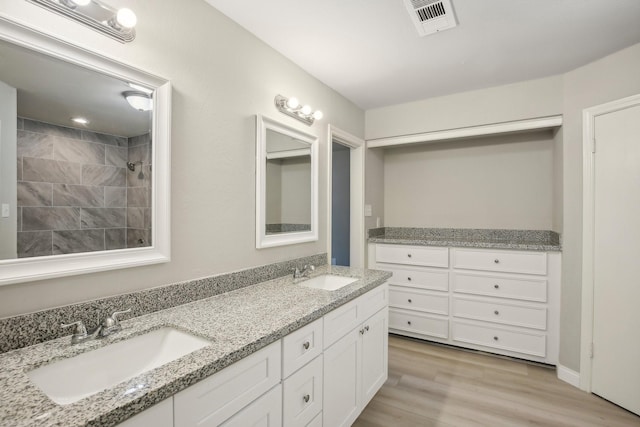 bathroom with wood-type flooring and vanity