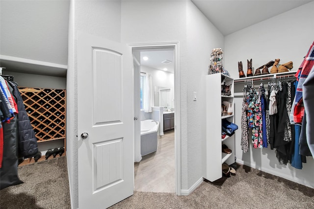 walk in closet with carpet floors