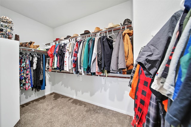 walk in closet with carpet