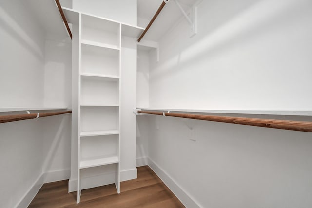 spacious closet with dark hardwood / wood-style flooring