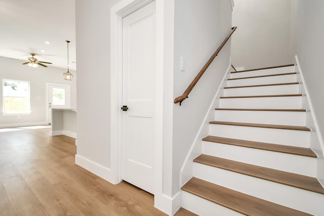 staircase featuring ceiling fan and hardwood / wood-style floors